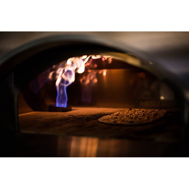 картинка Печь для пиццы Alfa Pizza Quick Pro Gas